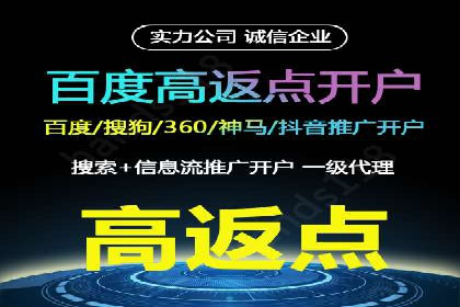 某企业通过百度广告实现品牌提升的历程